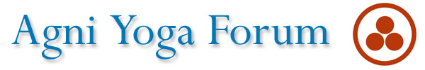 ay-forum.de.logo4.jpg