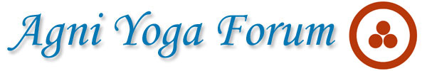 ay-forum.de.logo01.jpg